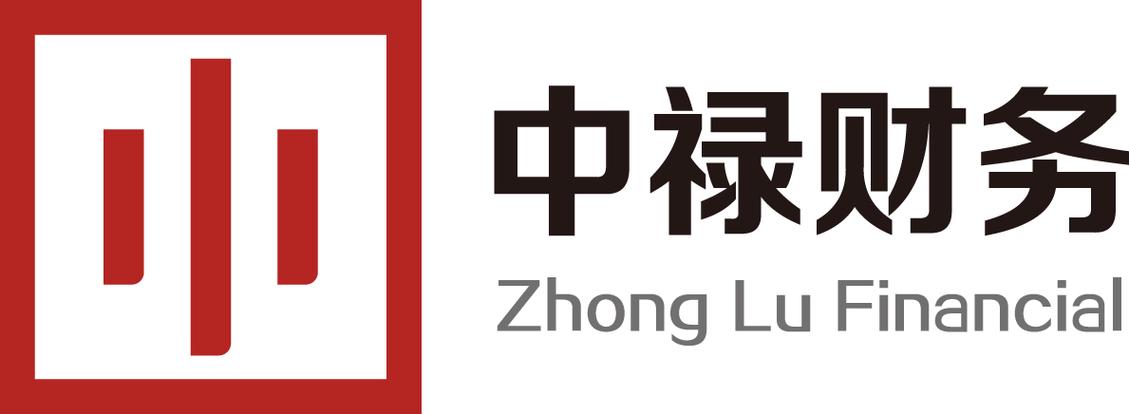 浙江中禄财务咨询